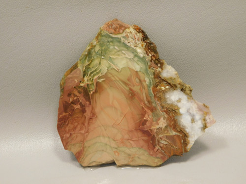Willow Creek Jasper Rough Rock Stone Slab Lapidary Idaho #O9
