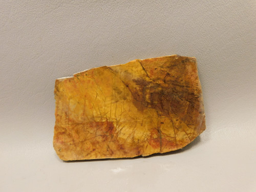 Cherry Creek Jasper Unpolished Rock Stone Slab Red Creek #O3