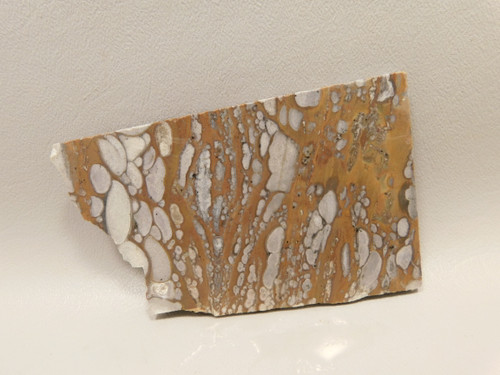 Mushroom Jasper Unpolished Rock Stone Slab Arizona #O4