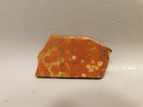 Morgan Hill Poppy Jasper Lapidary Rough Rock Stone Slab #O2