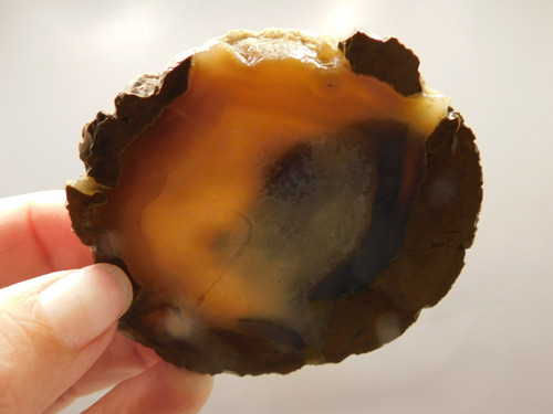 Priday Agate Thunderegg Richardson Ranch Unpolished Rock #O1
