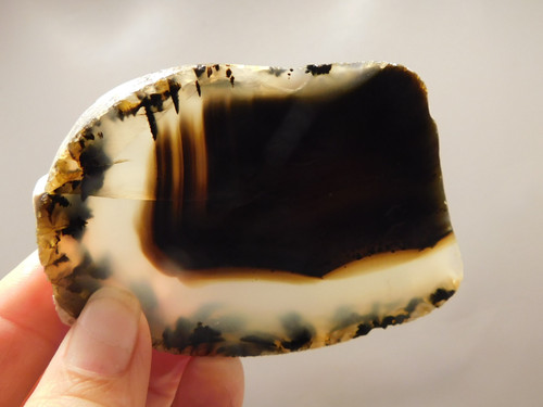 Montana Agate Stone Slab Lapidary Rough Rock #O5