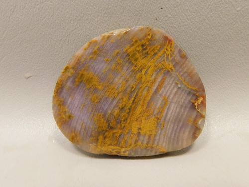 Petrified Wood Unpolished Stone Slab Grassy Mountain Oregon #O8