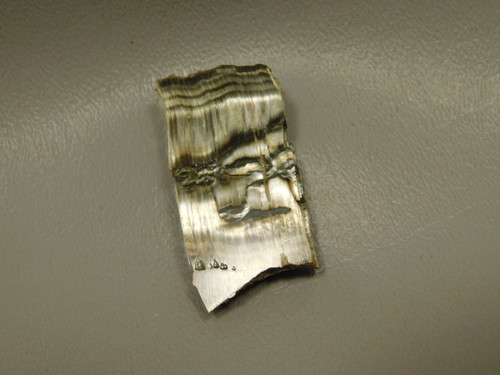 Arizona Pietersite Polished Stone Slab Chatoyant Tiger Eye #O14