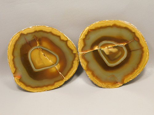 White Skin Brazilian Piranha Agate 2 Piece Polished Rock Heart #O30