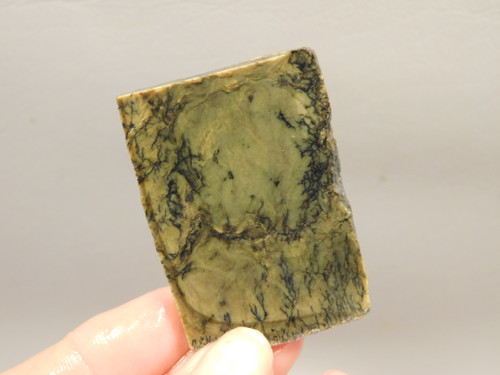 California Green Nephrite Jade Unpolished Stone Slab Rough Rock #O6