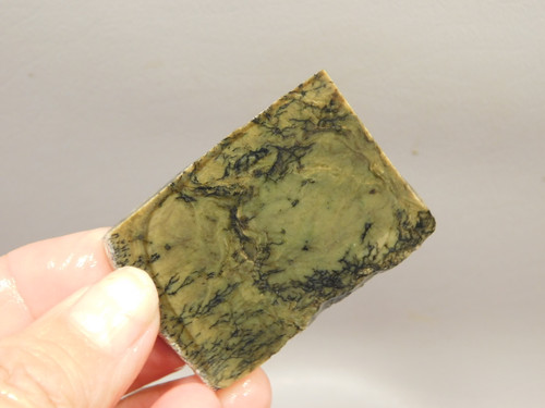 California Green Nephrite Jade Unpolished Stone Slab Rough Rock #O6