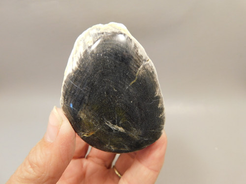 Petrified Wood Black Polished Limb Snake River Idaho #OSR3