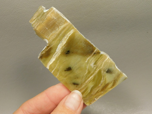 Arizona Pietersite Polished Stone Slab Chatoyant Tiger Eye #O3