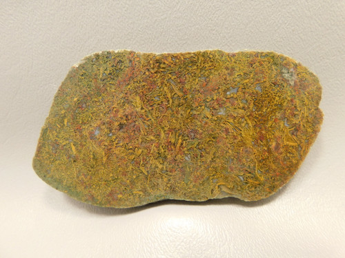 Agatized Whale Bone Fossilized Petrified Polished Rock Slab #O101