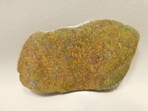 Agatized Whale Bone Fossilized Petrified Polished Rock Slab #O101