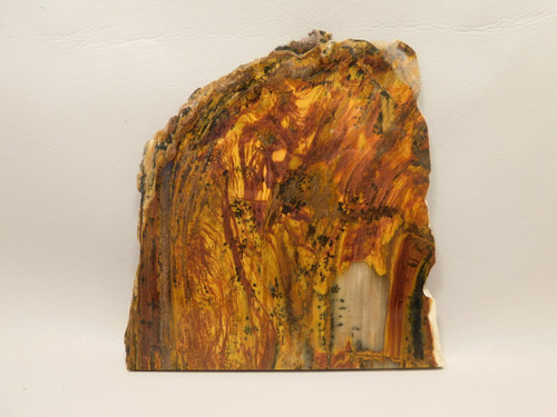 Petrified Wood Polished Round Saddle Mountain Washington #O135-20