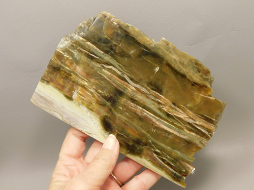 Arizona Pietersite Polished Stone Slab Chatoyant Tiger Eye #O4