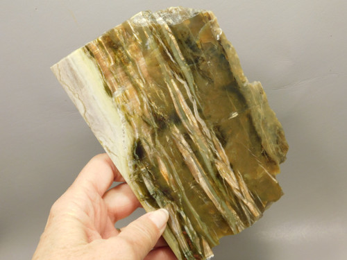 Arizona Pietersite Polished Stone Slab Chatoyant Tiger Eye #O4