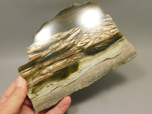 Arizona Pietersite Polished Stone Slab Chatoyant Tiger Eye #O4