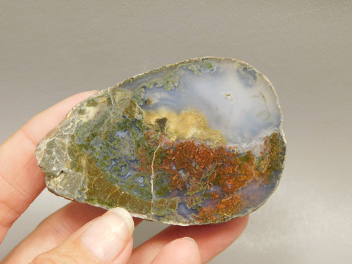 Owls Hole Agate Polished Rock Collector RARE Red Plume #O6