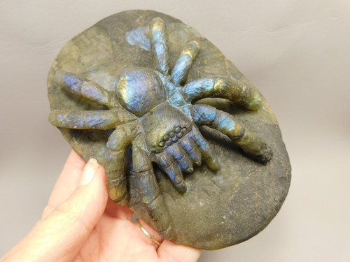 Spider Tarantula Figurine Labradorite Gemstone 5.6 inch Carving #O227