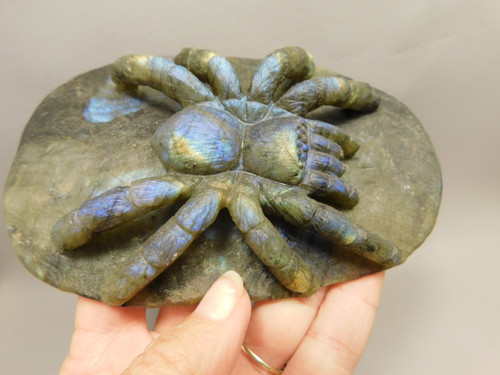 Spider Tarantula Figurine Labradorite Gemstone 5.6 inch Carving #O227