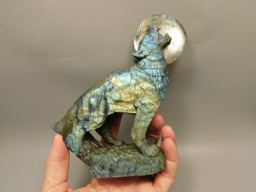 Howling Wolf Moon Figurine Labradorite 6 inch Coyote Carving #O445