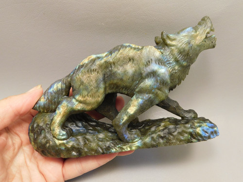 Wolf Figurine Labradorite Stone Animal 7 inch Coyote Carving #O492