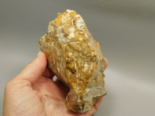 Spotted Fawn Stone or Tigilitis Lapidary Rough Rock #O3