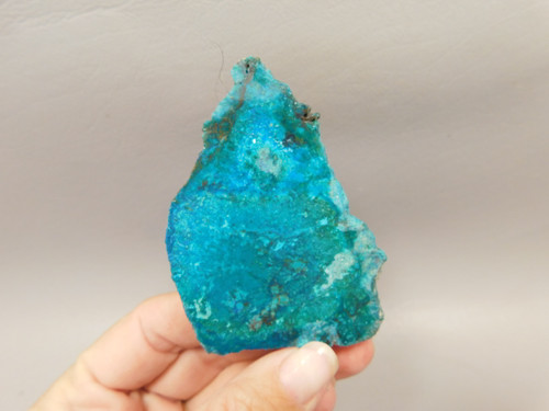 Chrysocolla Cuprite Shattuckite Unpolished Stone Slab Rough Rock #O9