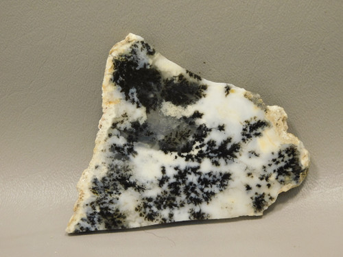 Medicine Bow Agate Stone Slab Unpolished Rough Rock Wyoming #O1