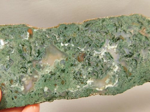 Horse Canyon Agate Stone Slab Unpolished California #O4
