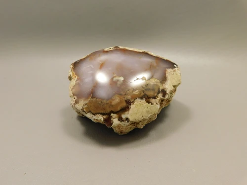 Petrified Wood Polished Agate Limb Cast Fish Lake Nevada #O191