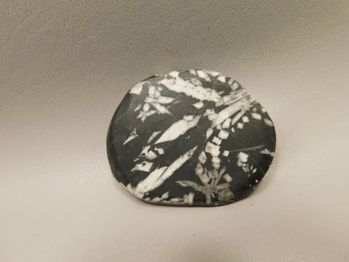 Chrysanthemum Stone 2.7 inch Palm Worry Stone Natural Rock #O11