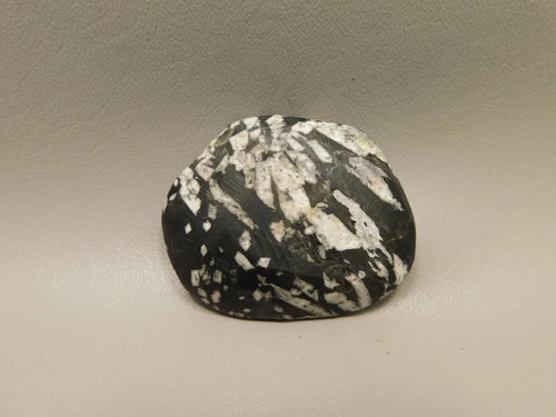 Chrysanthemum Stone 2.7 inch Palm Worry Stone Natural Rock #O11