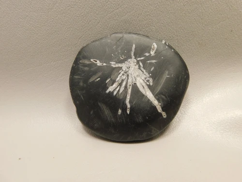 Chrysanthemum Stone 2.7 inch Palm Worry Stone Natural Rock #O15