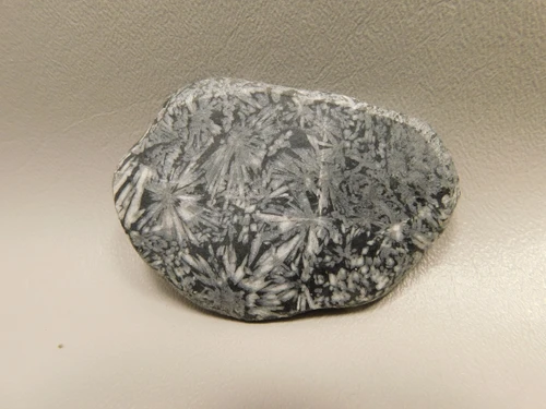 Chrysanthemum Stone 2.9 inch Palm Worry Stone Natural Rock #O18