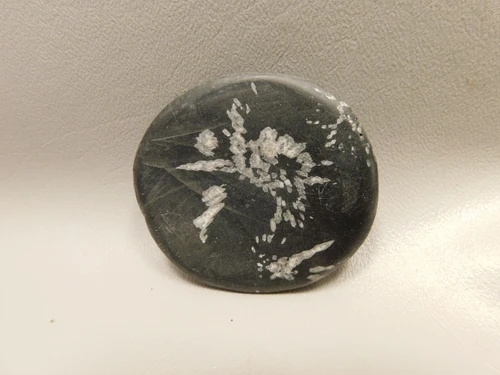 Chrysanthemum Stone 2.4 inch Palm Worry Stone Natural Rock #O19