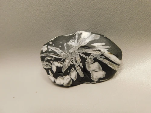 Chrysanthemum Stone 2.9 inch Palm Worry Stone Natural Rock #O20