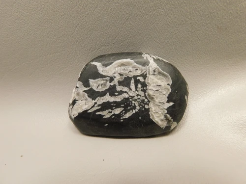 Chrysanthemum Stone 2.6 inch Palm Worry Stone Natural Rock #O21