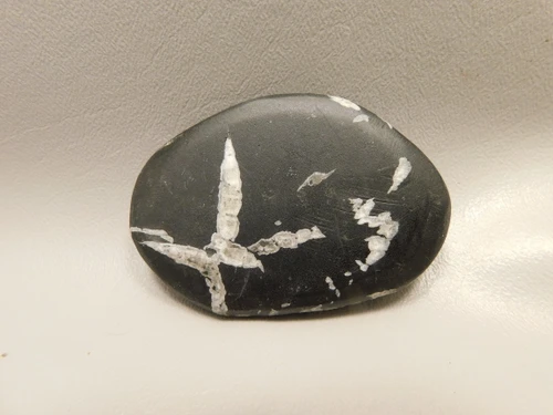 Chrysanthemum Stone 2.9 inch Palm Worry Natural Rock #O25