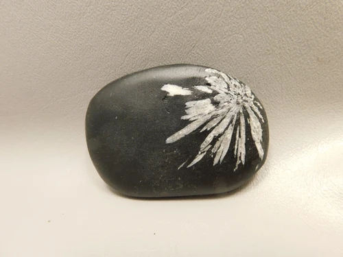 Chrysanthemum Stone 2.88 inch Palm Worry Natural Rock #O23