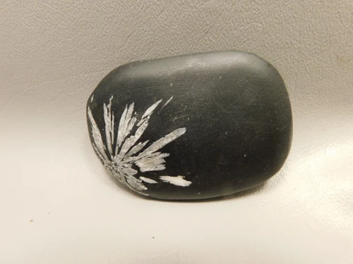 Chrysanthemum Stone 2.88 inch Palm Worry Natural Rock #O23