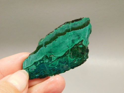 Gem Silica Chrysocolla Inspiration Mine Unpolished Stone Slab #O200