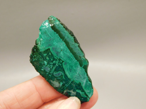 Gem Silica Chrysocolla Inspiration Mine Unpolished Stone Slab #O200