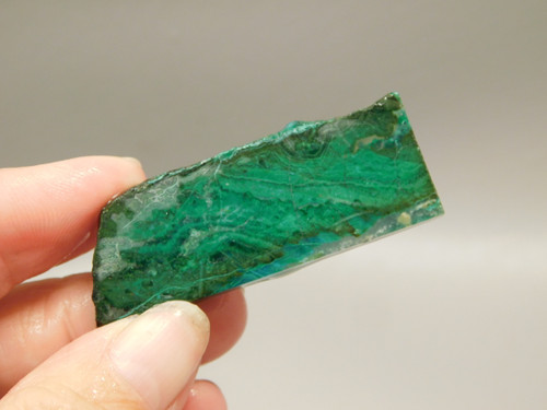 Gem Silica Chrysocolla Inspiration Mine Unpolished Stone Slab #O203