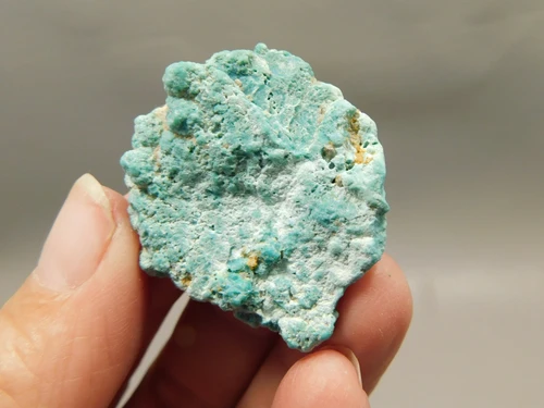 Turquoise Nugget Rock Small Natural Unpolished Stone Mexico #O13