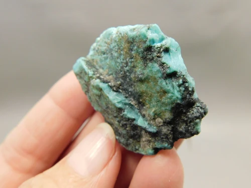 Turquoise Nugget Rock Small Natural Unpolished Stone Mexico #O16