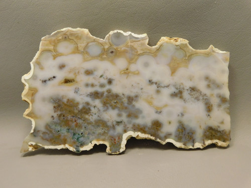 Ocean Jasper Unpolished Stone Slab Natural Lapidary Rock #O6
