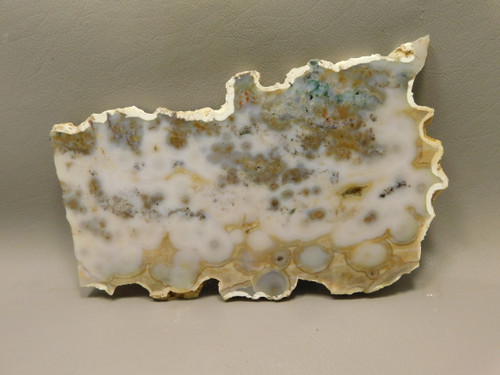 Ocean Jasper Unpolished Stone Slab Natural Lapidary Rock #O6