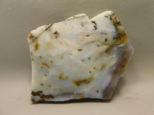 Polka Dot Agate Stone Slab Unpolished Rough Rock Oregon #O4