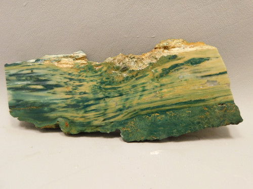 Gary Green Jasper Larsonite Petrified Bogwood Stone Slab #O1