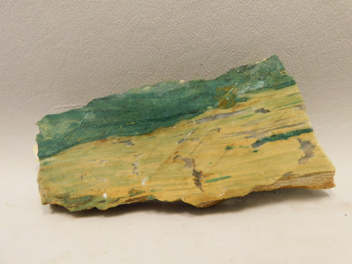 Gary Green Jasper Larsonite Petrified Bogwood Stone Slab #O2