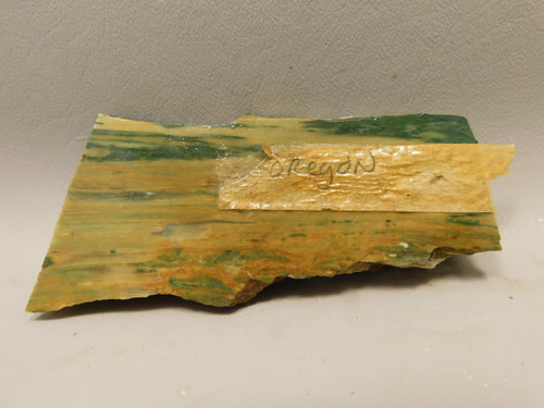 Gary Green Jasper Larsonite Petrified Bogwood Stone Slab #O2